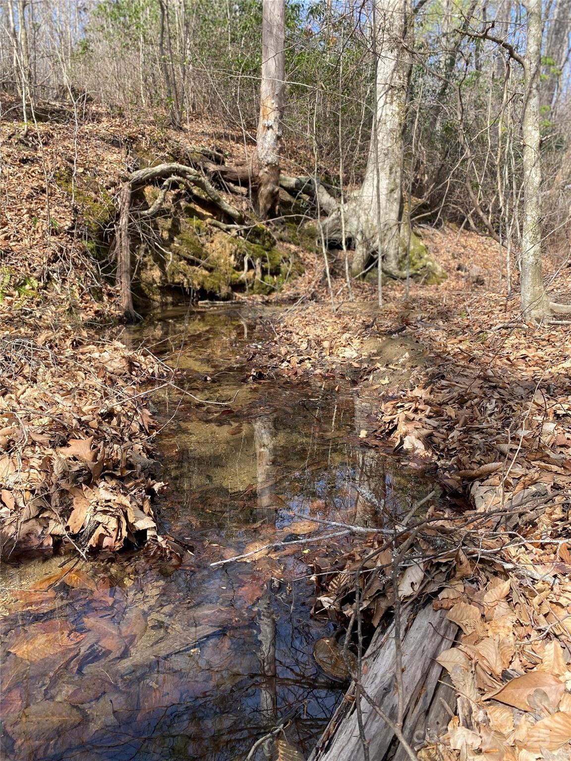 0 Cane Creek Mountain Road Bostic NC 28018