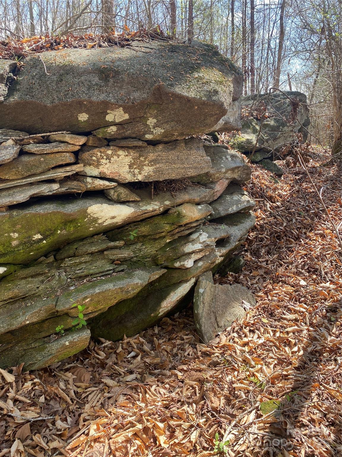 0 Cane Creek Mountain Road Bostic NC 28018