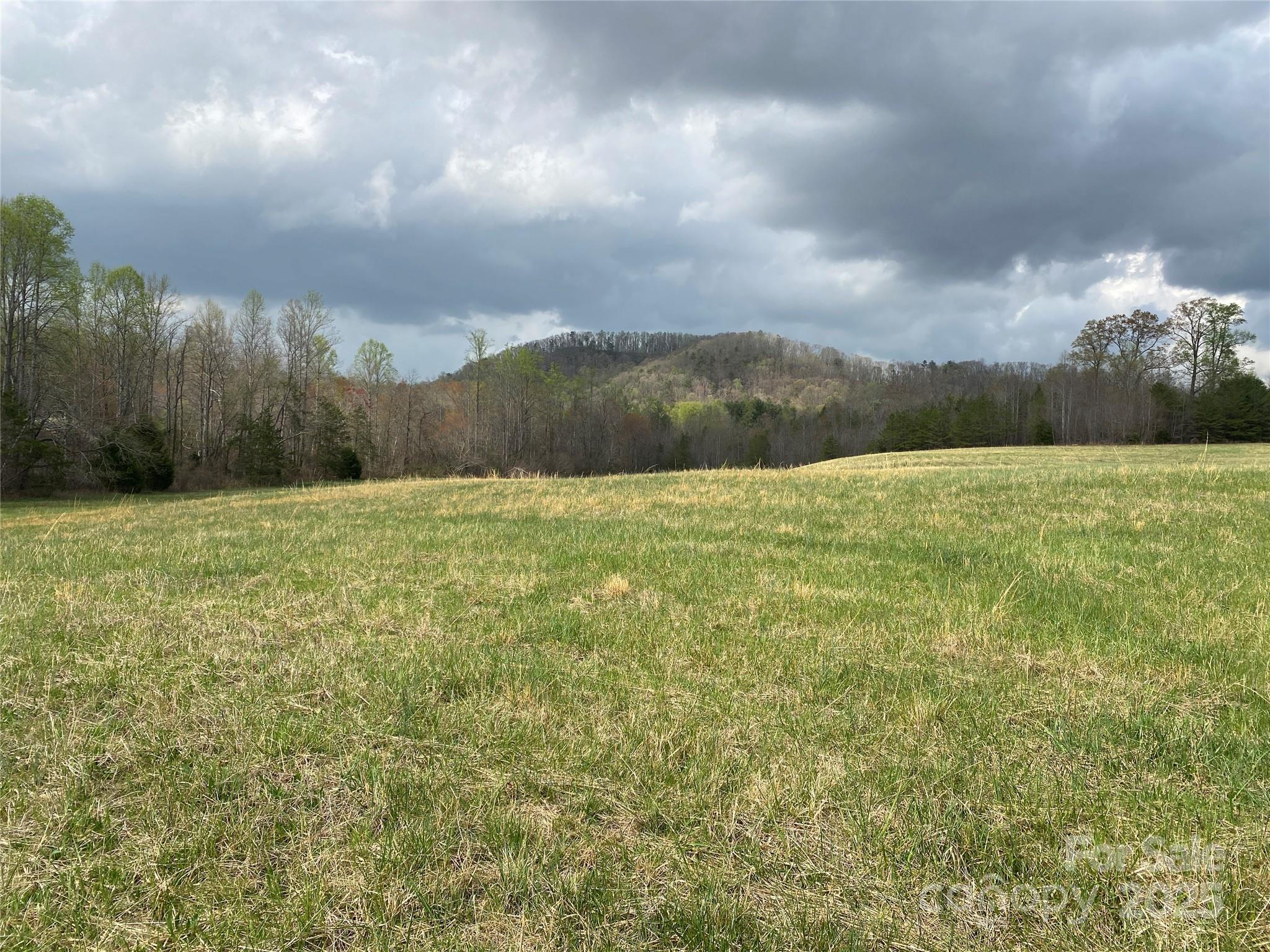 0 Cane Creek Mountain Road Bostic NC 28018