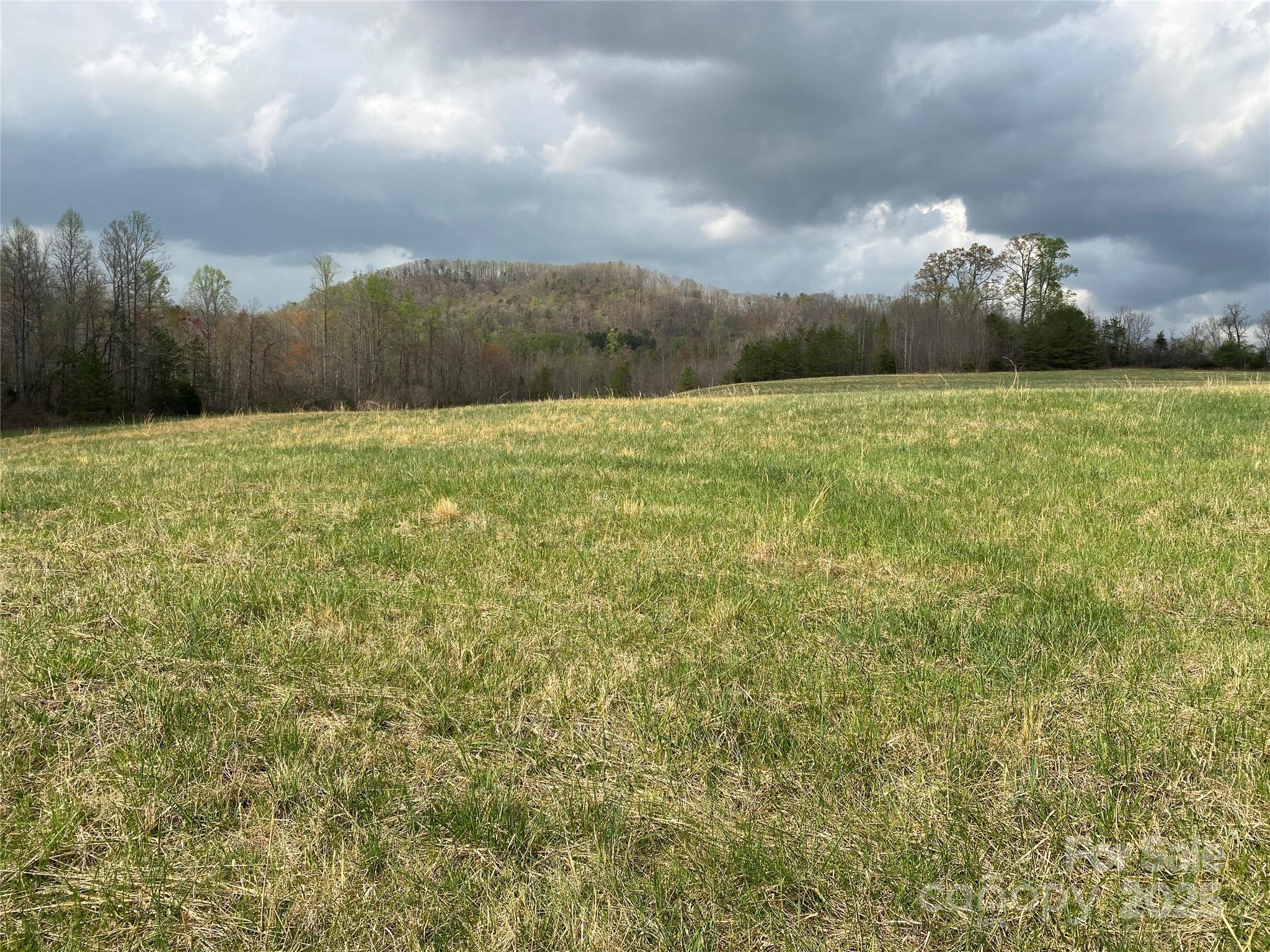 0 Cane Creek Mountain Road Bostic NC 28018