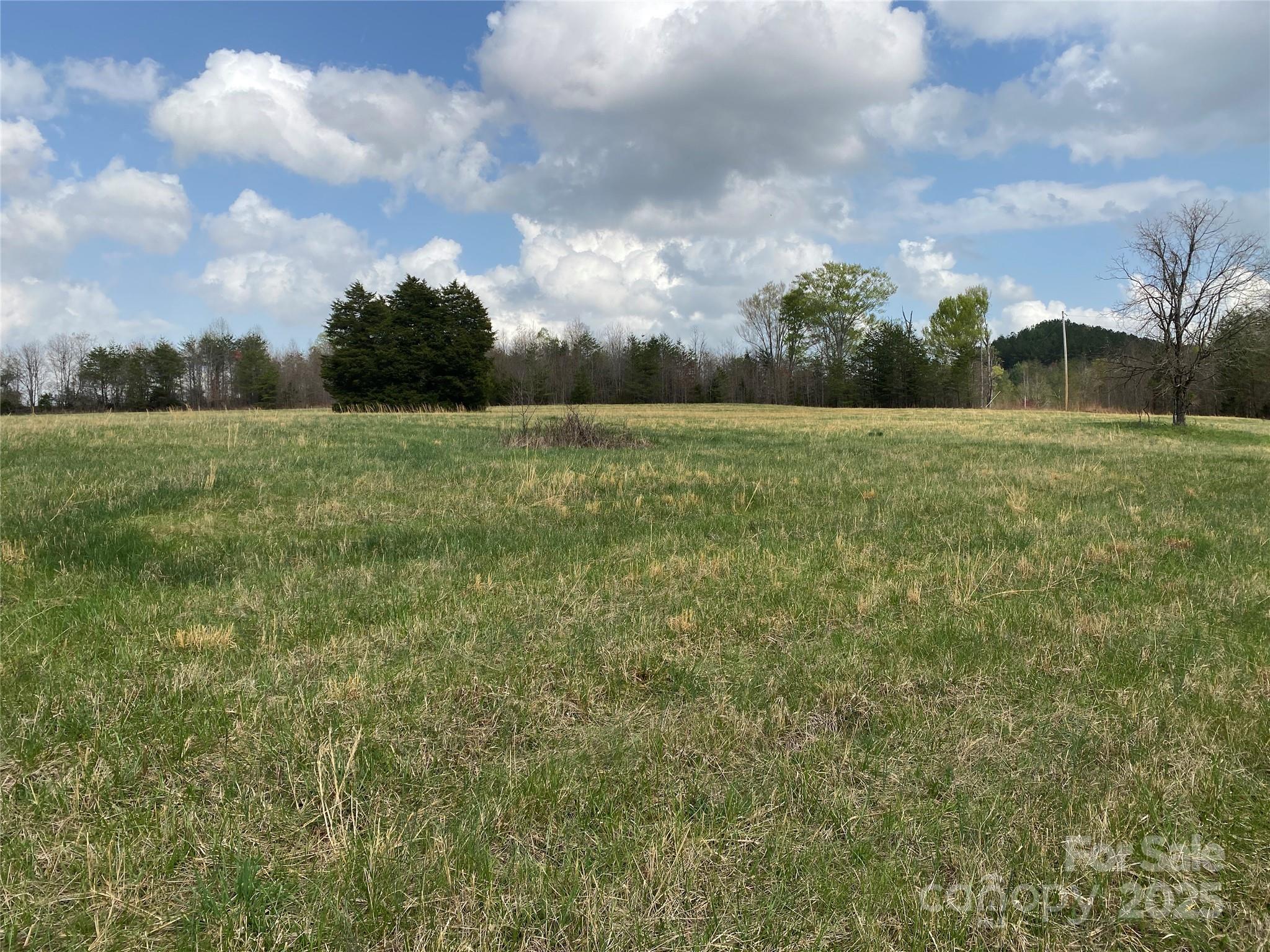 0 Cane Creek Mountain Road Bostic NC 28018