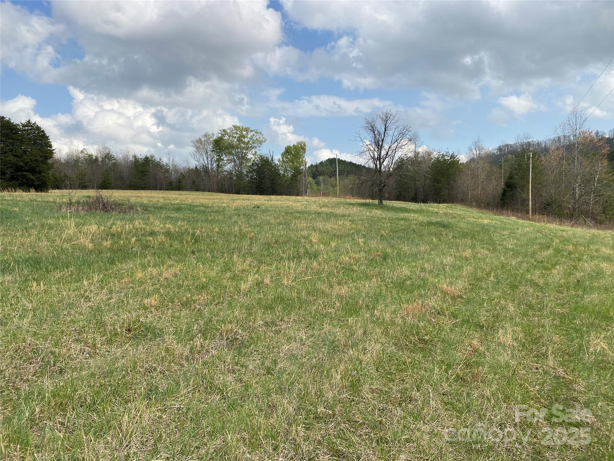0 Cane Creek Mountain Road Bostic NC 28018