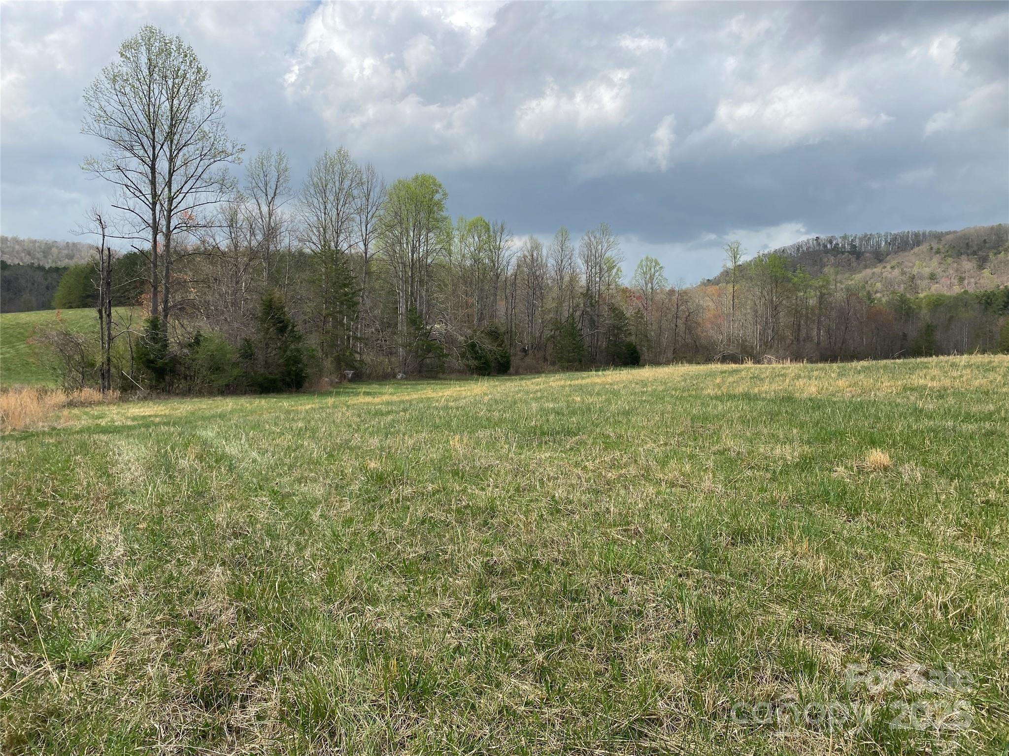 0 Cane Creek Mountain Road Bostic NC 28018