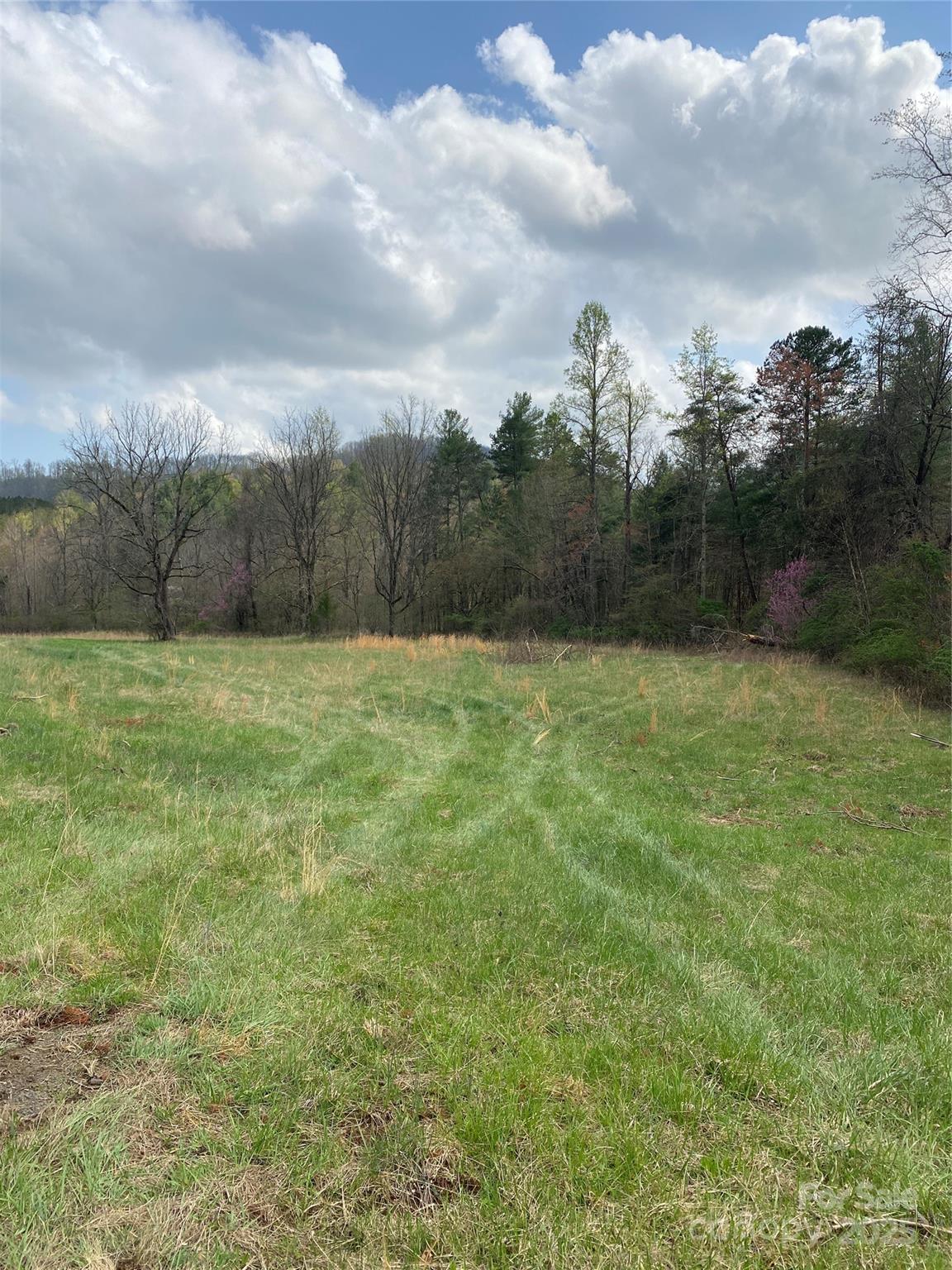 0 Cane Creek Mountain Road Bostic NC 28018