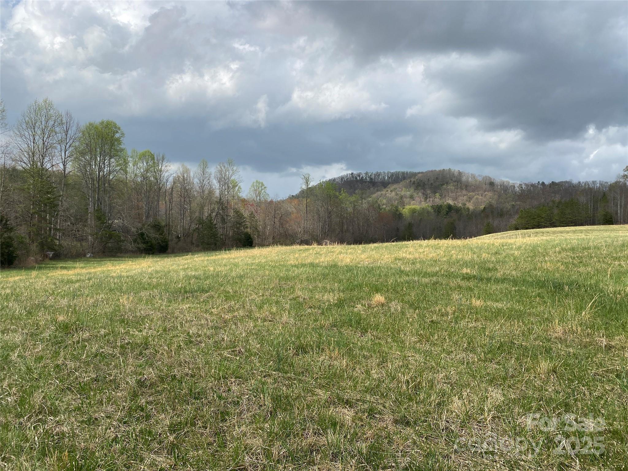 0 Cane Creek Mountain Road Bostic NC 28018