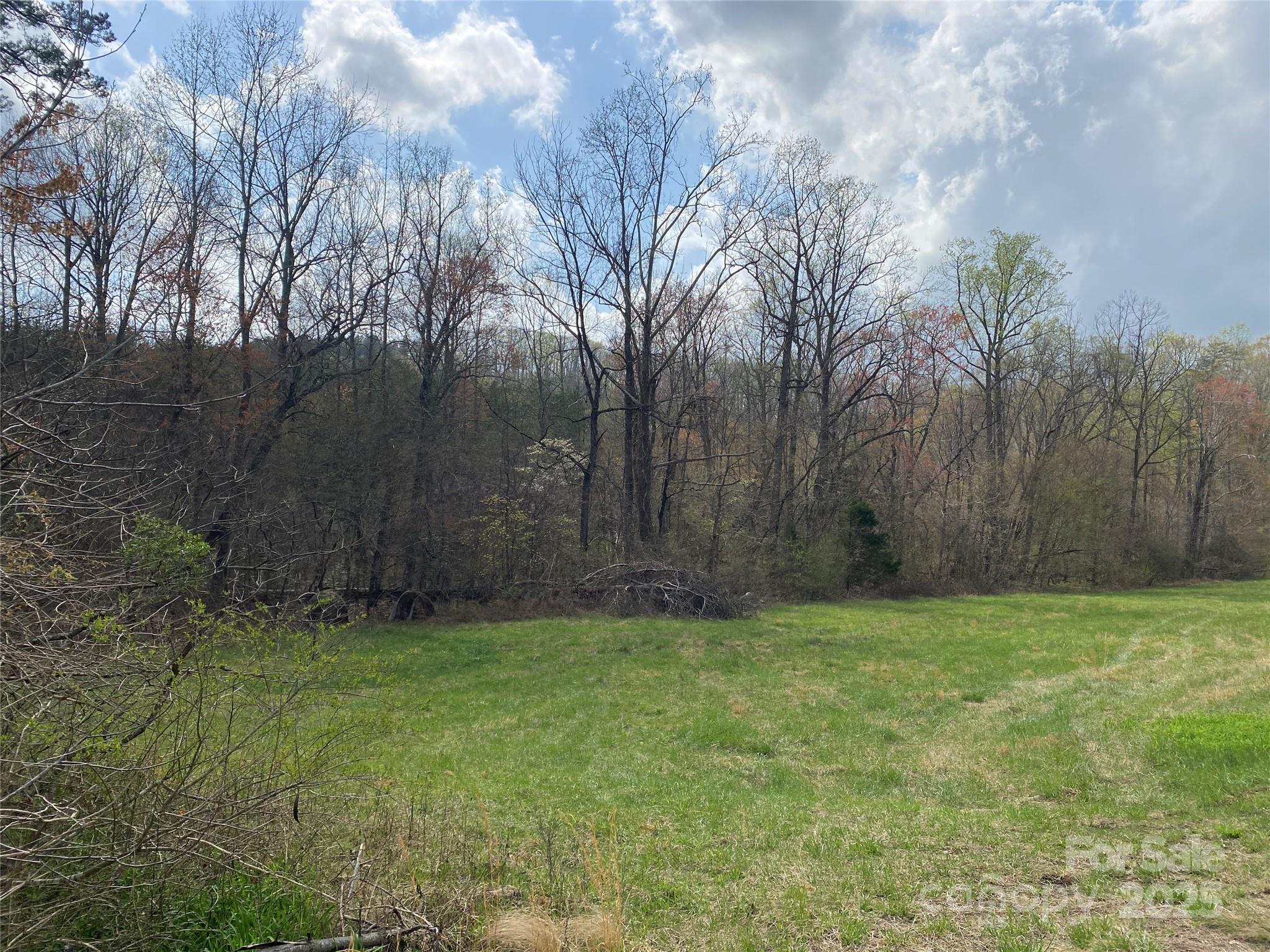 0 Cane Creek Mountain Road Bostic NC 28018