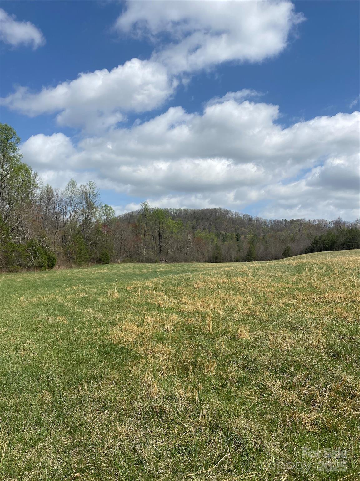 0 Cane Creek Mountain Road Bostic NC 28018
