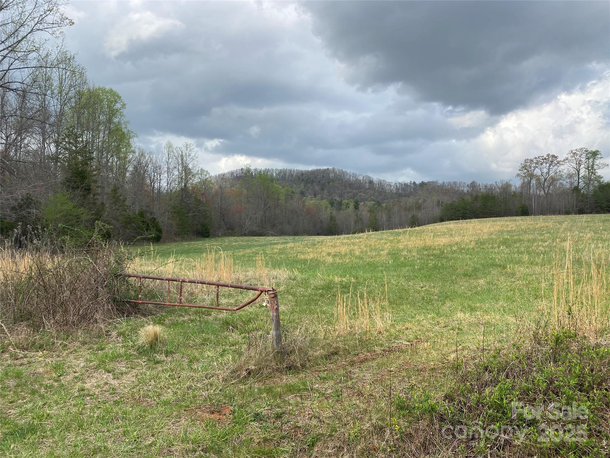 0 Cane Creek Mountain Road Bostic NC 28018