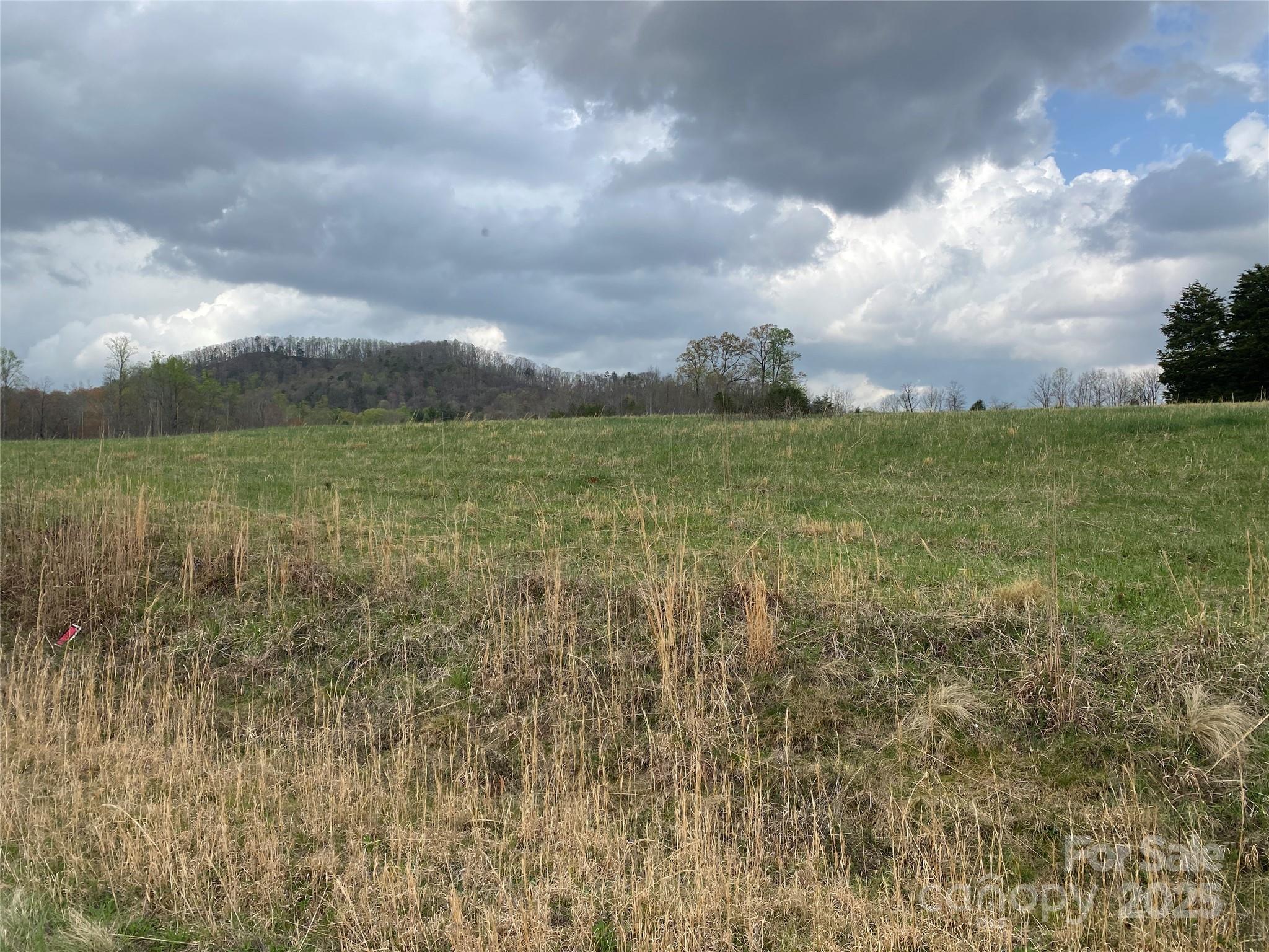 0 Cane Creek Mountain Road Bostic NC 28018