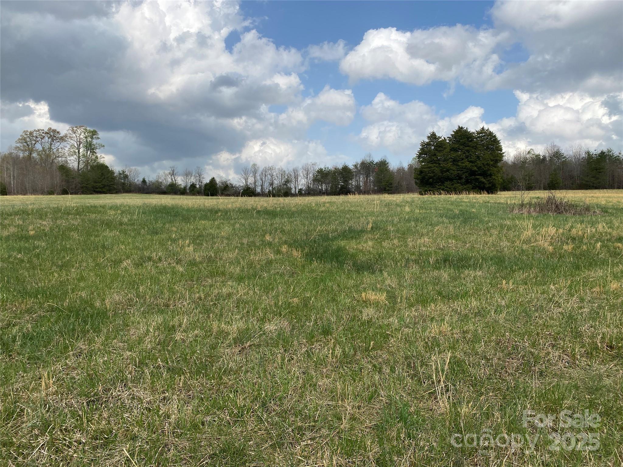 0 Cane Creek Mountain Road Bostic NC 28018