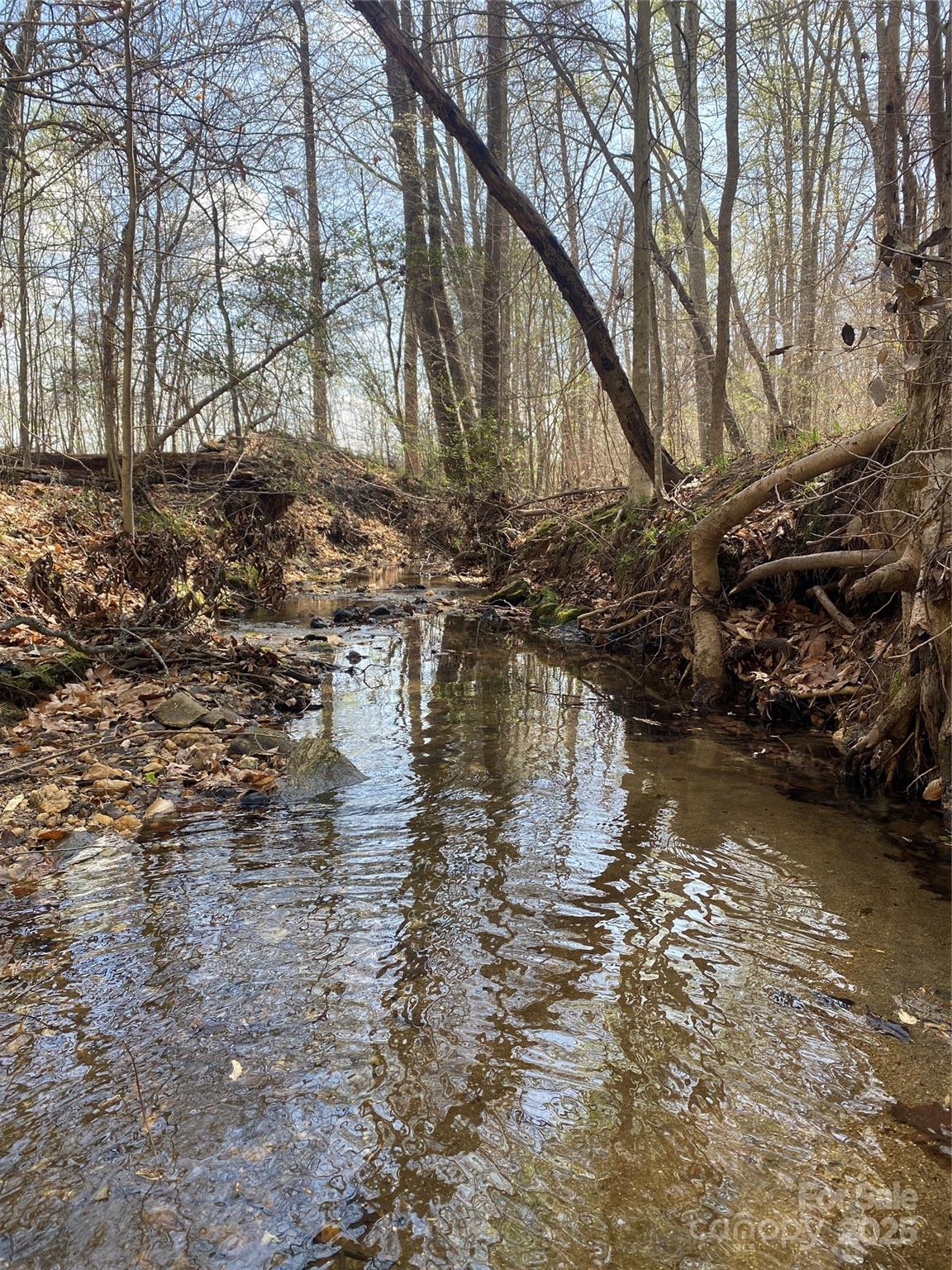 0 Cane Creek Mountain Road Bostic NC 28018