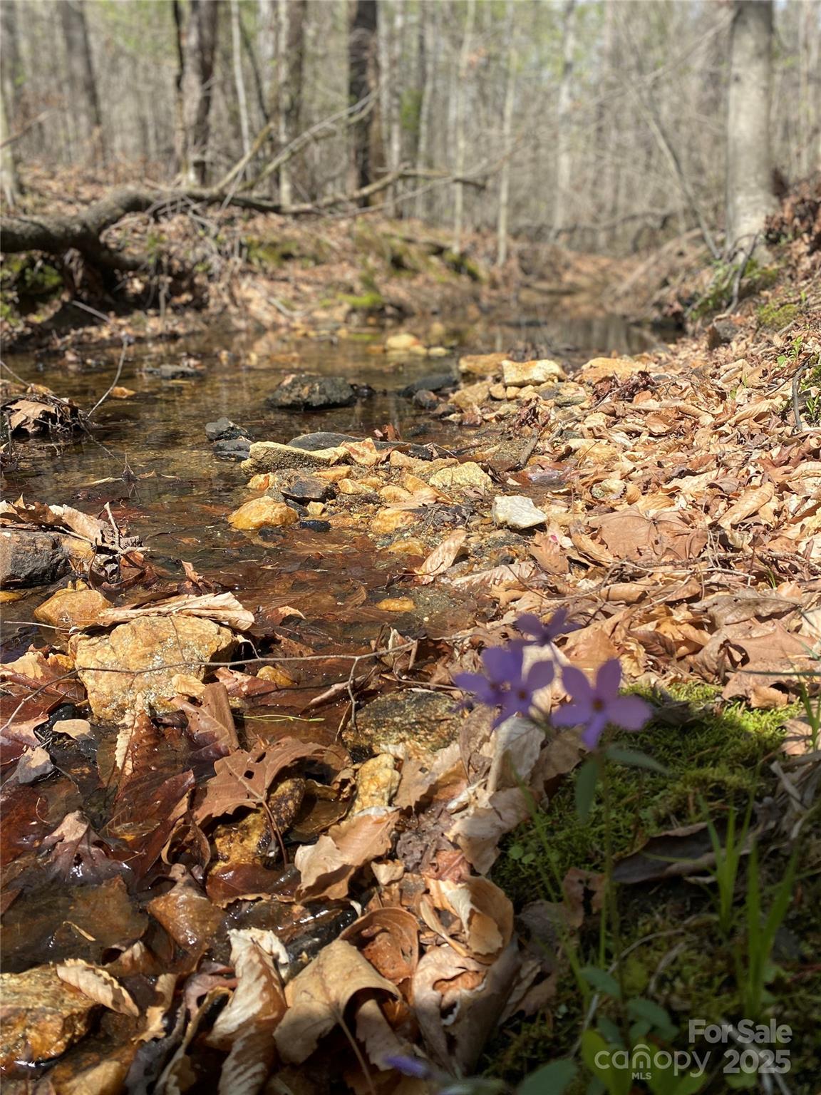 0 Cane Creek Mountain Road Bostic NC 28018
