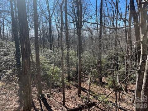 Lot 79 Arrowhead Trail Columbus NC 28722