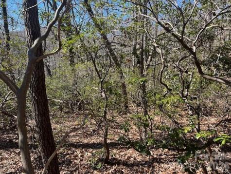 Lot 79 Arrowhead Trail Columbus NC 28722