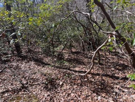 Lot 79 Arrowhead Trail Columbus NC 28722