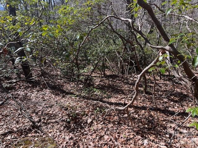 Lot 79 Arrowhead Trail Columbus NC 28722