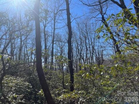 Lot 79 Arrowhead Trail Columbus NC 28722