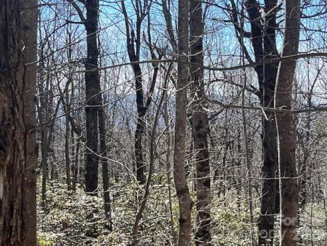 Lot 79 Arrowhead Trail Columbus NC 28722