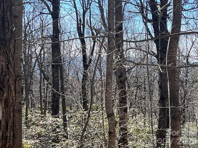 Lot 79 Arrowhead Trail Columbus NC 28722