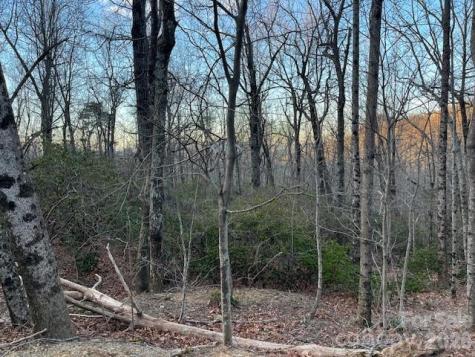 Lot 79 Arrowhead Trail Columbus NC 28722