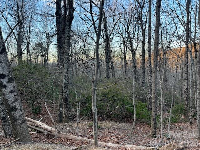 Lot 79 Arrowhead Trail Columbus NC 28722