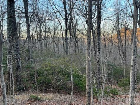 Lot 79 Arrowhead Trail Columbus NC 28722