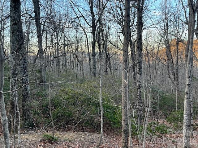 Lot 79 Arrowhead Trail Columbus NC 28722