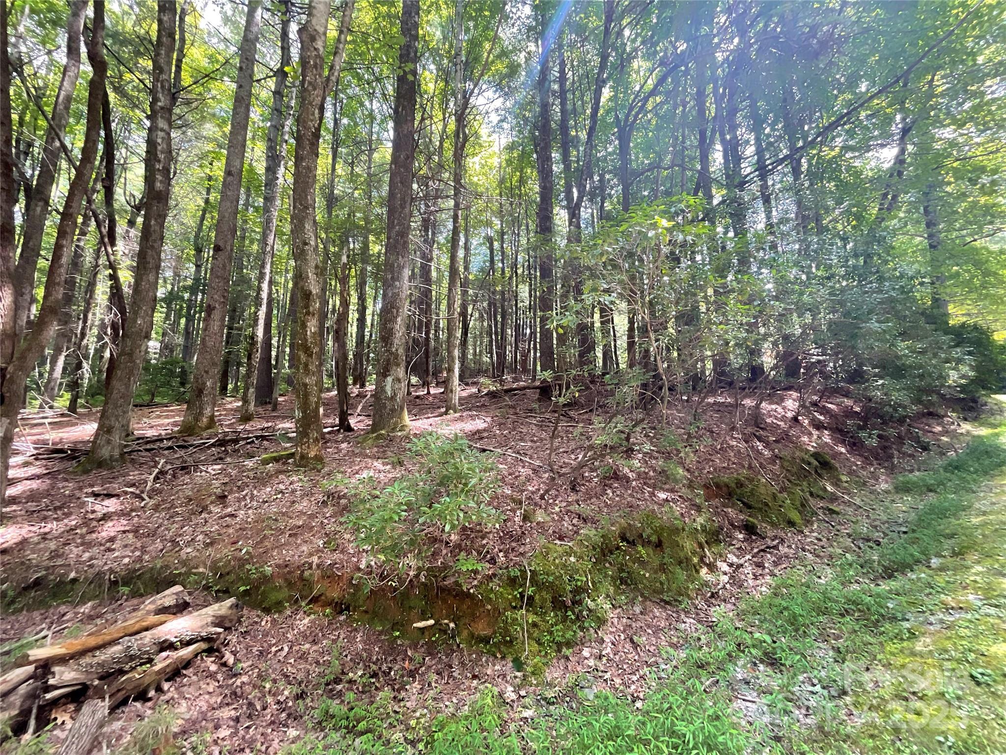 406 Tlvdatsi Drive Brevard NC 28712