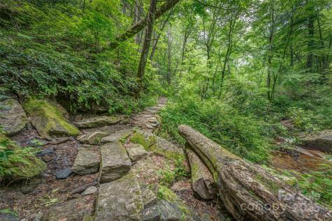 406 Tlvdatsi Drive Brevard NC 28712