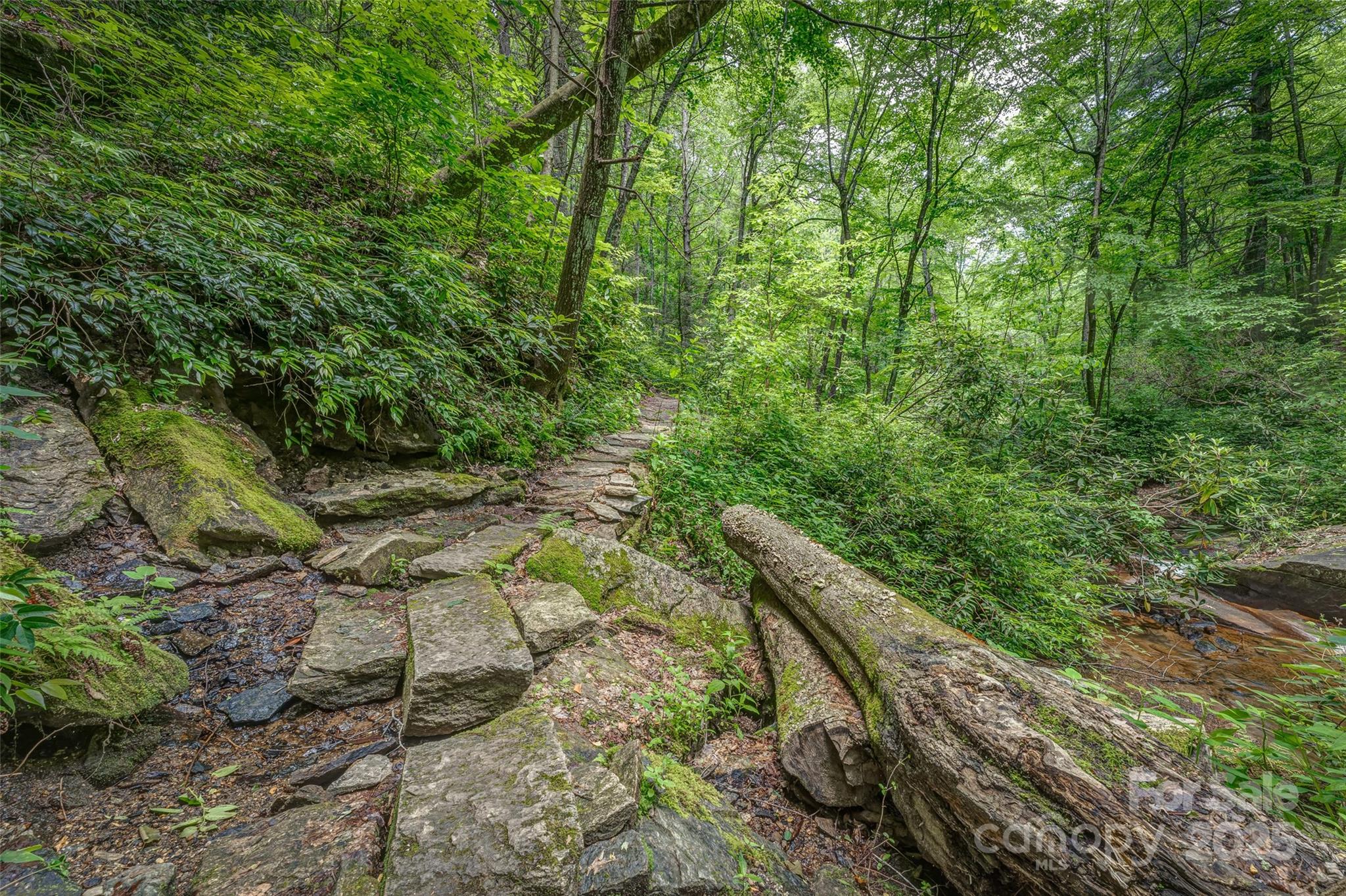 406 Tlvdatsi Drive Brevard NC 28712