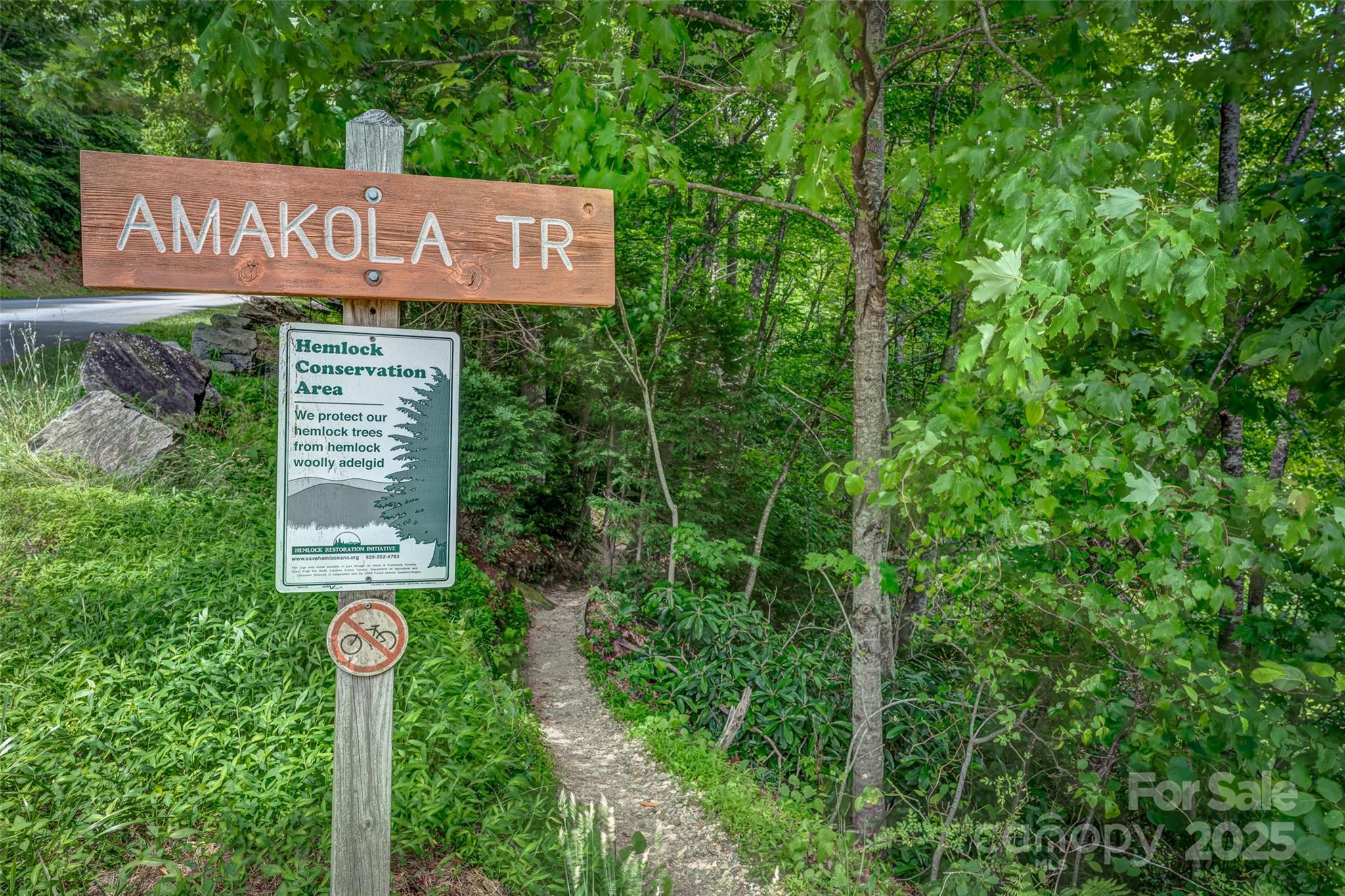 406 Tlvdatsi Drive Brevard NC 28712