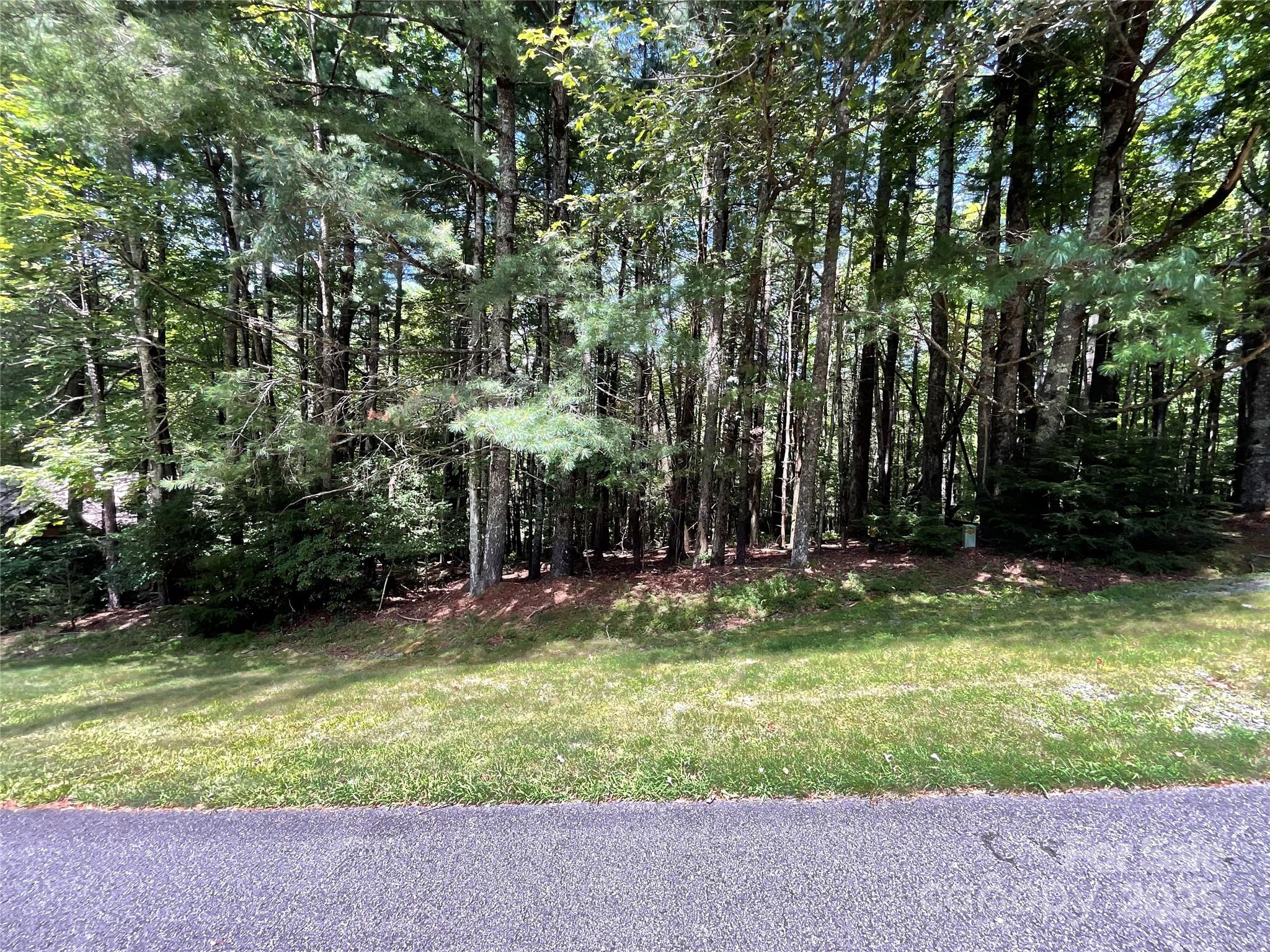406 Tlvdatsi Drive Brevard NC 28712