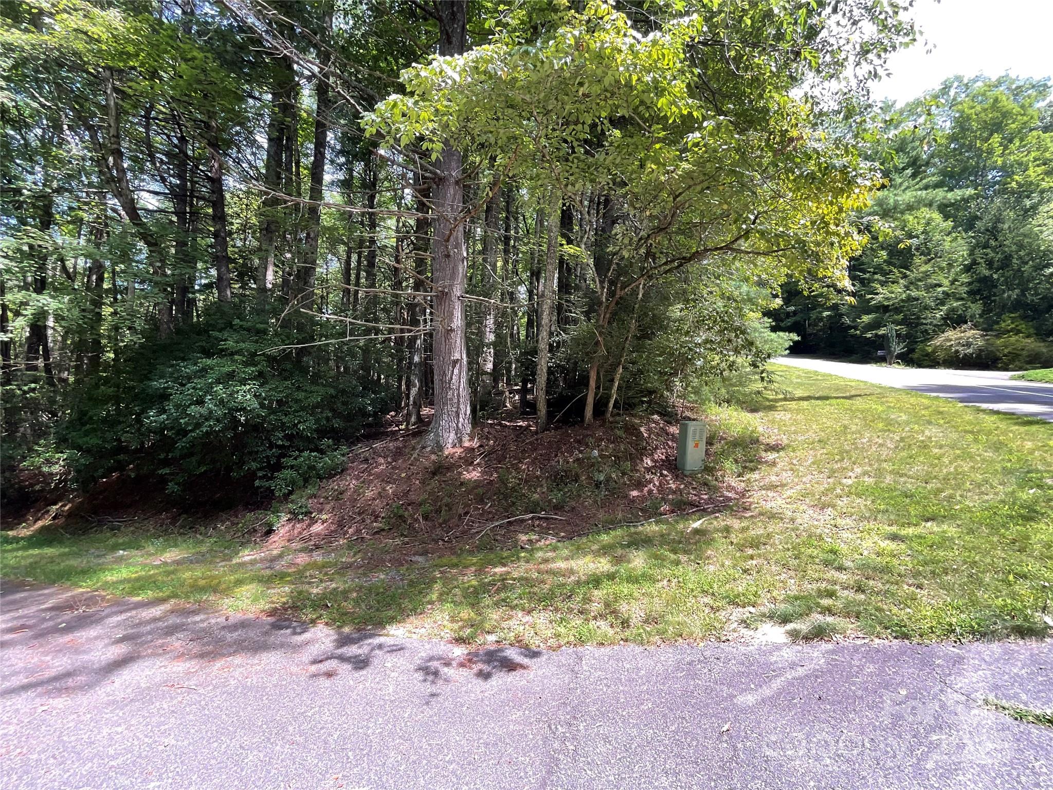 406 Tlvdatsi Drive Brevard NC 28712