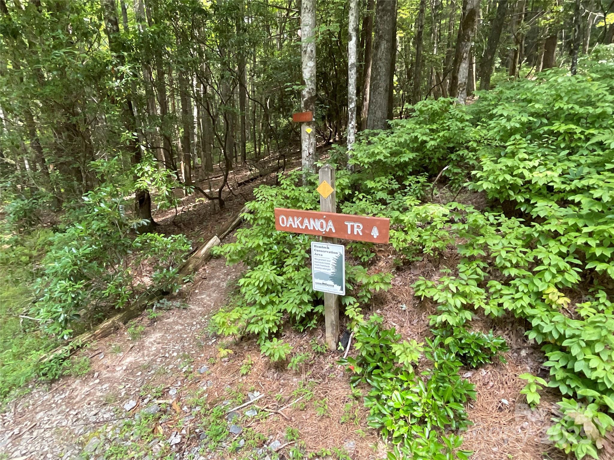 406 Tlvdatsi Drive Brevard NC 28712
