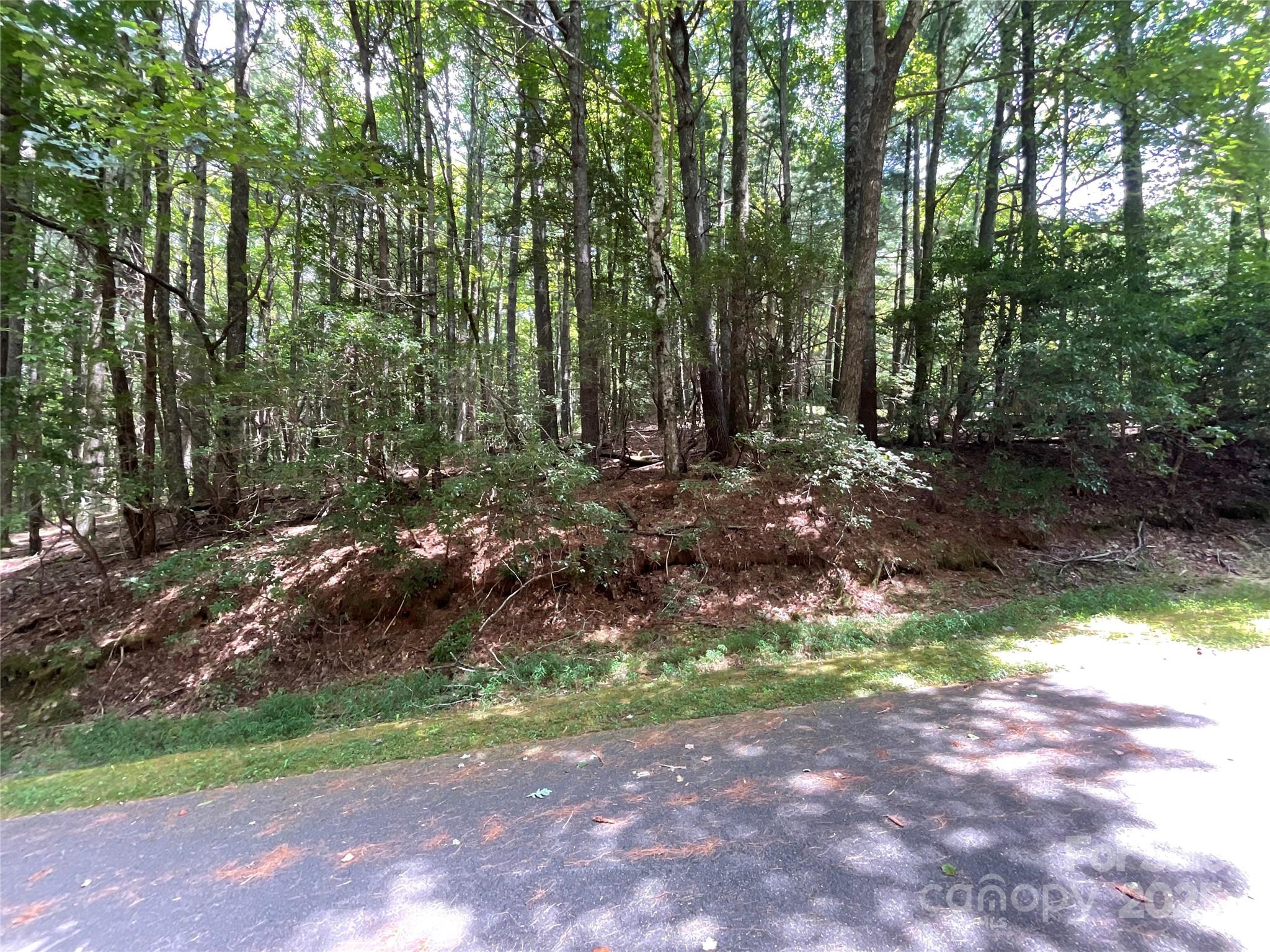 406 Tlvdatsi Drive Brevard NC 28712