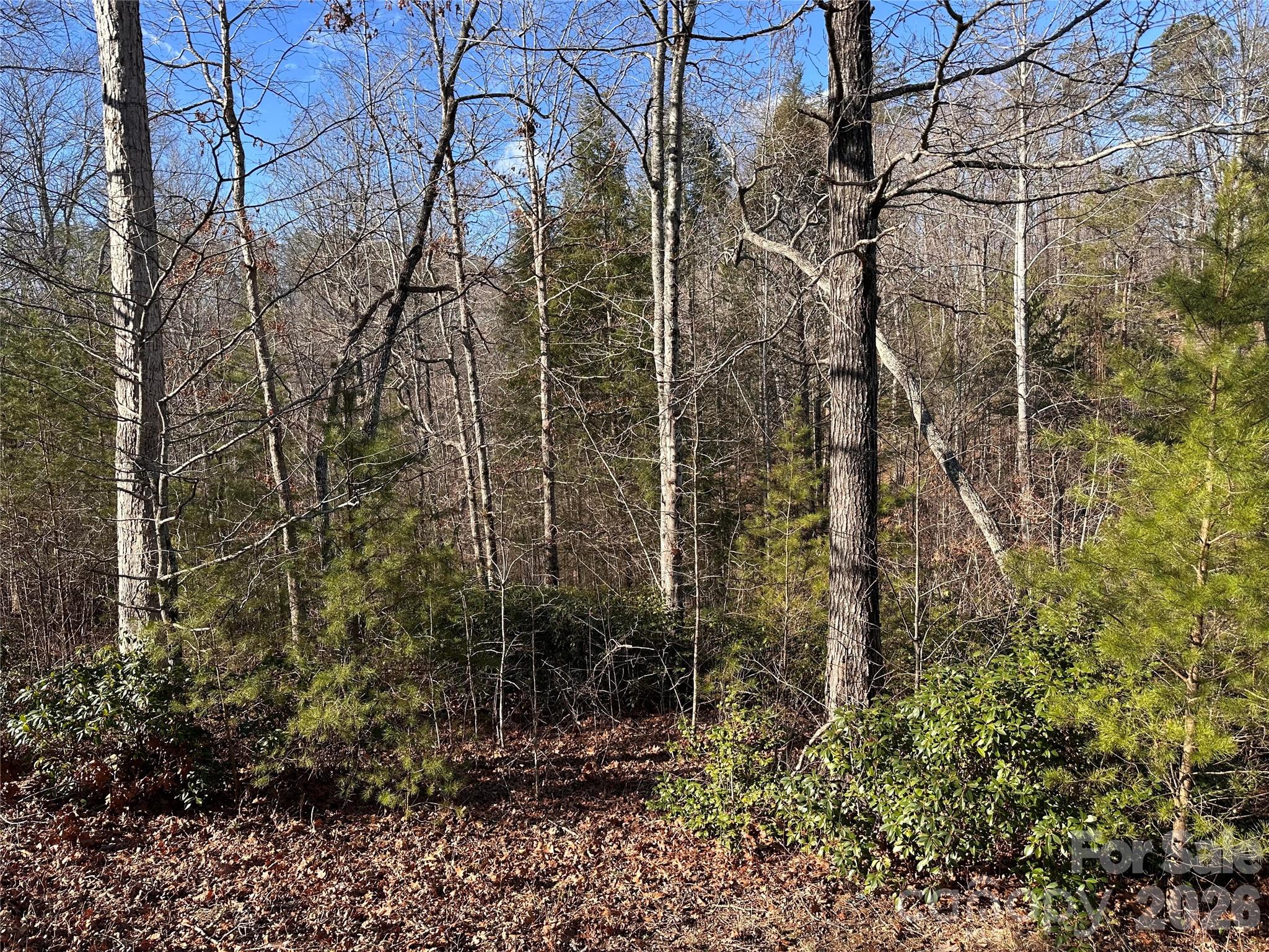 0 Rock Ledge Drive Lake Lure NC 28746