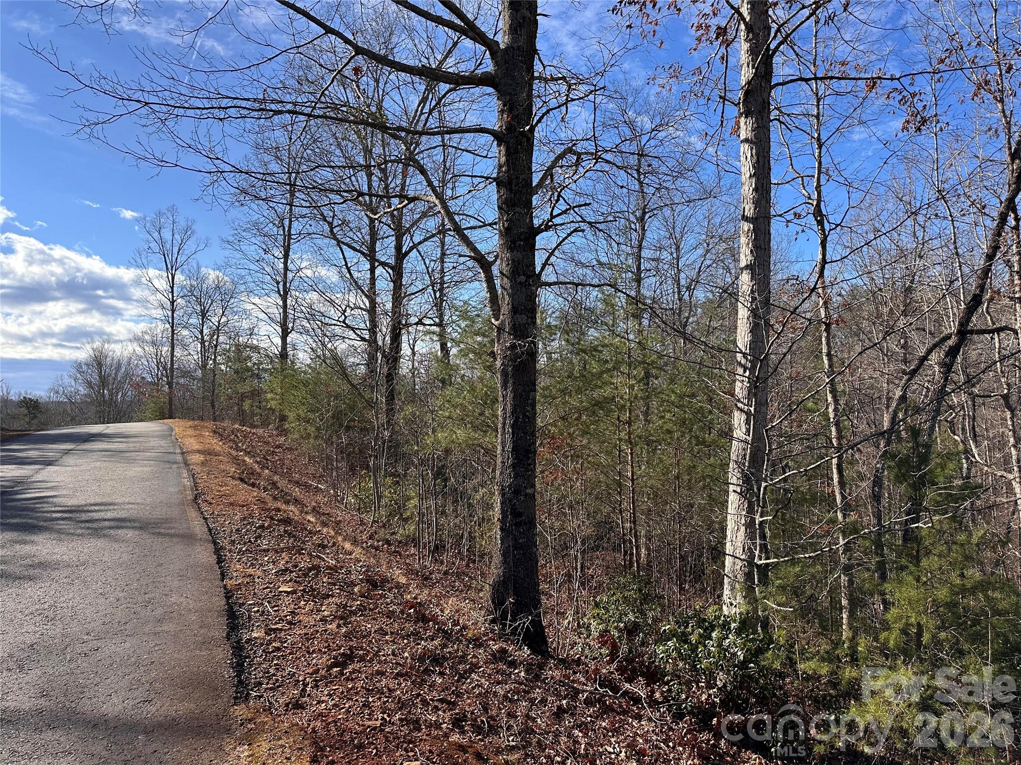 0 Rock Ledge Drive Lake Lure NC 28746