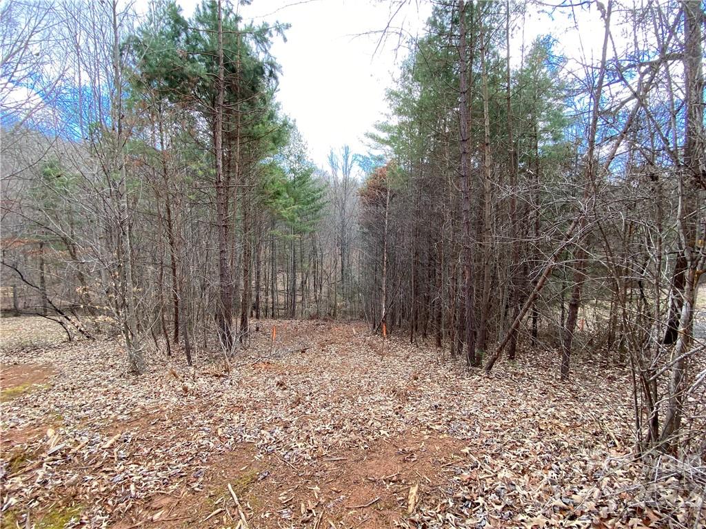 49 Kelly Fields Drive Alexander NC 28701