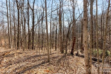 Lot 5 Laurel Mountain Trail Black Mountain NC 28711