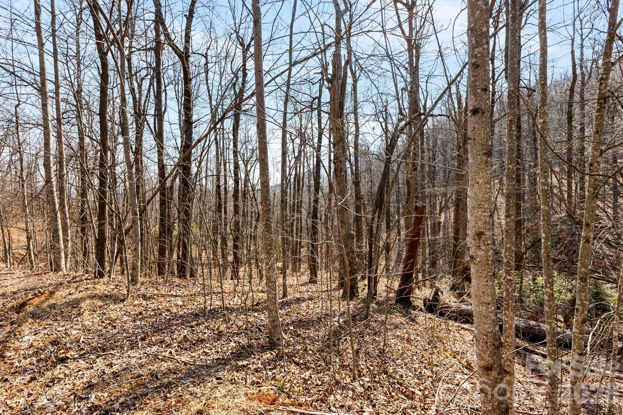 Lot 5 Laurel Mountain Trail Black Mountain NC 28711