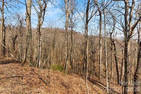 Lot 5 Laurel Mountain Trail Black Mountain NC 28711