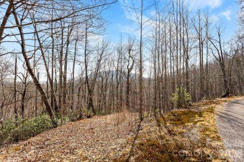 Lot 5 Laurel Mountain Trail Black Mountain NC 28711