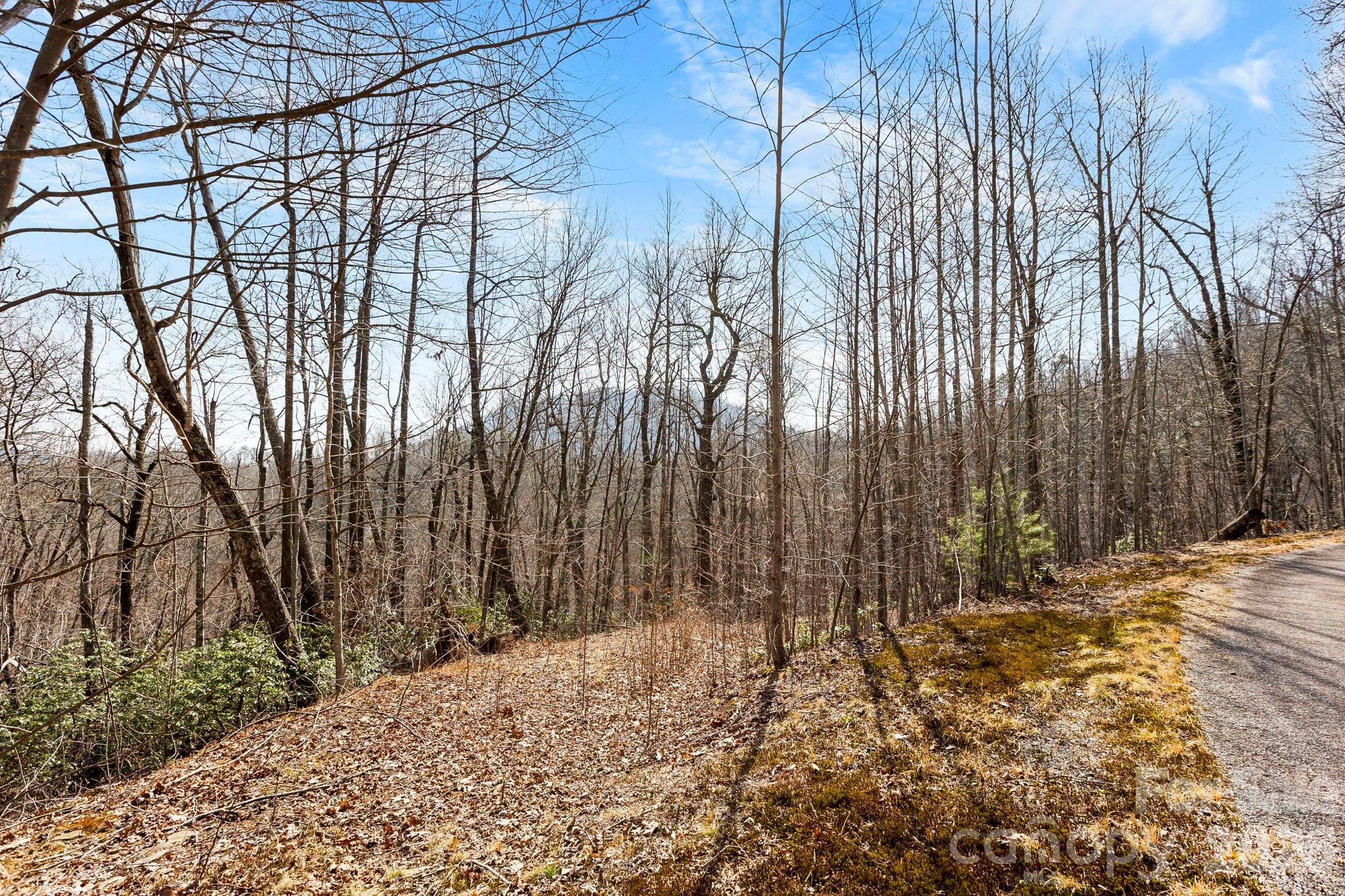 Lot 5 Laurel Mountain Trail Black Mountain NC 28711