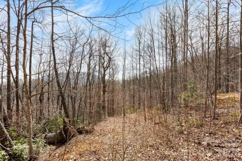 Lot 5 Laurel Mountain Trail Black Mountain NC 28711