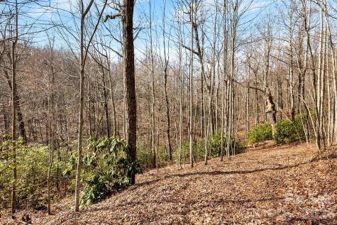 Lot 5 Laurel Mountain Trail Black Mountain NC 28711