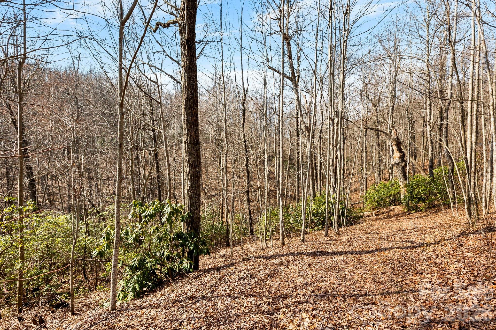 Lot 5 Laurel Mountain Trail Black Mountain NC 28711