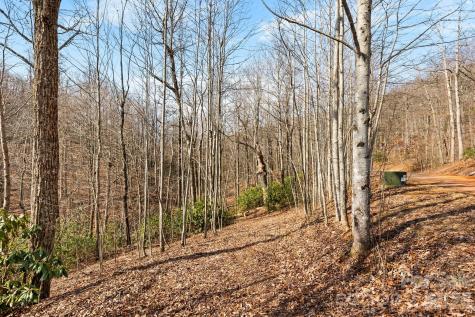 Lot 5 Laurel Mountain Trail Black Mountain NC 28711