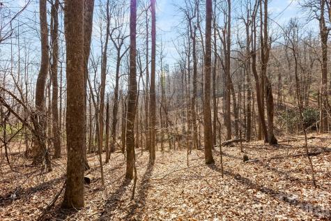 Lot 5 Laurel Mountain Trail Black Mountain NC 28711