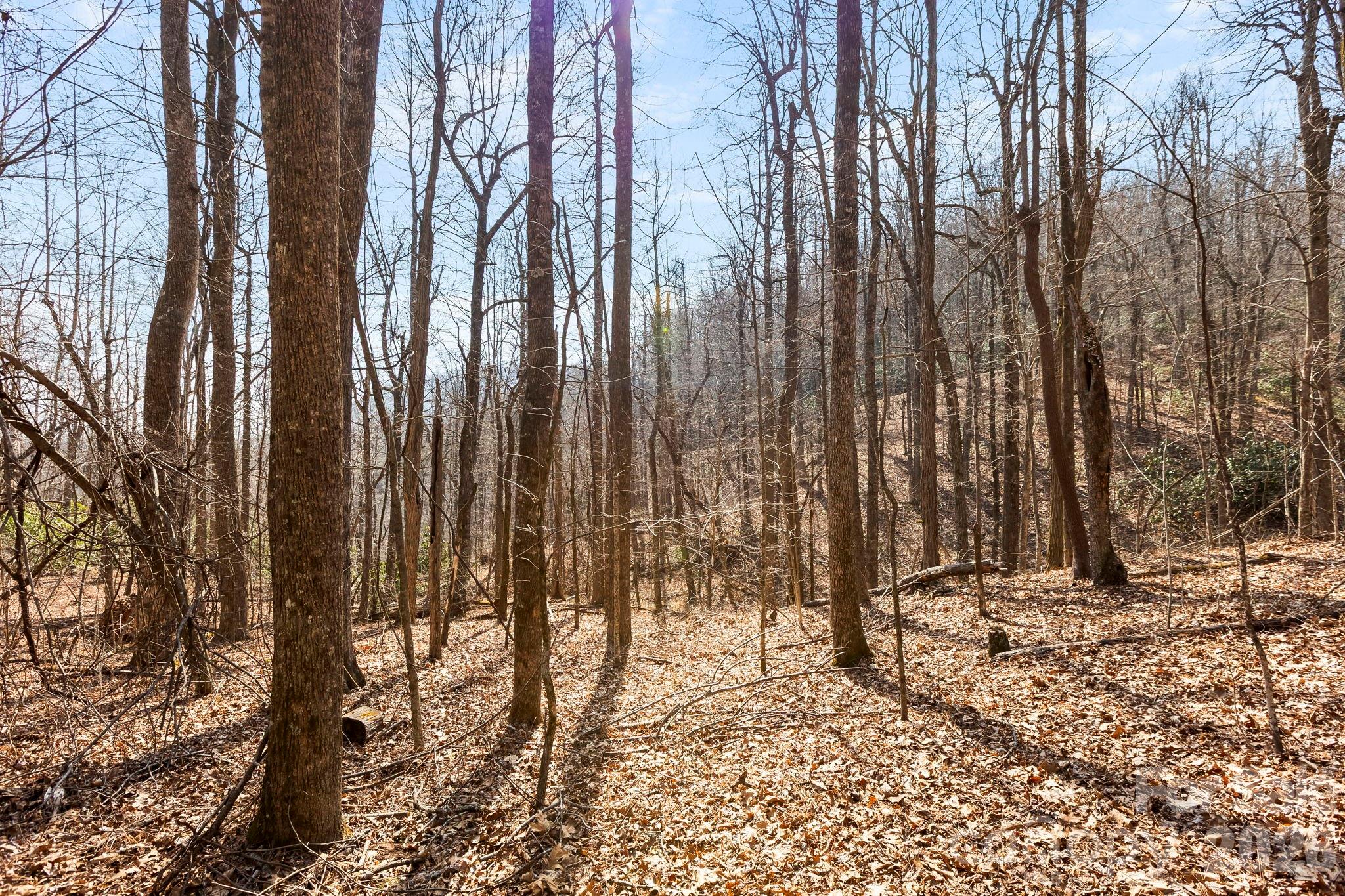 Lot 5 Laurel Mountain Trail Black Mountain NC 28711