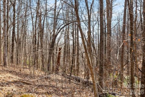 Lot 5 Laurel Mountain Trail Black Mountain NC 28711